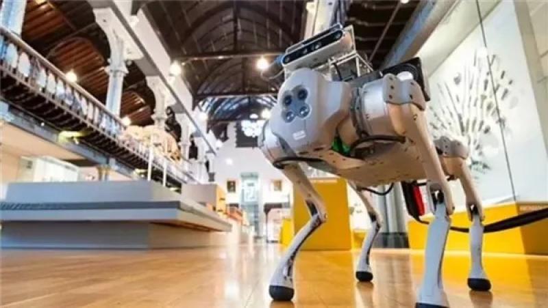 الروبوت ”المرشد” .. ”كلب” الذكاء الاصطناعي لحراسة المكفوفين!!
