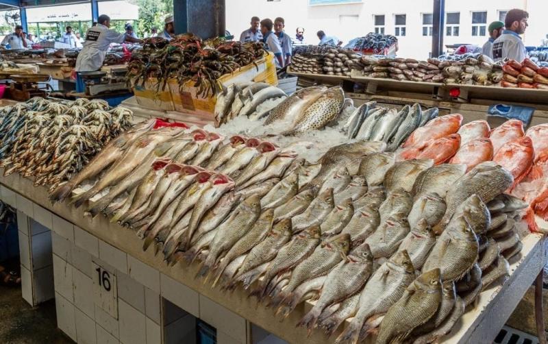 80 جنيها للبوري المتوسط .. تعرف على أسعار الأسماك اليوم السبت 24 فبراير 2024