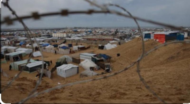 شهادات من مخيم العذاب، رفح تسير على ”أشواك” غزة!