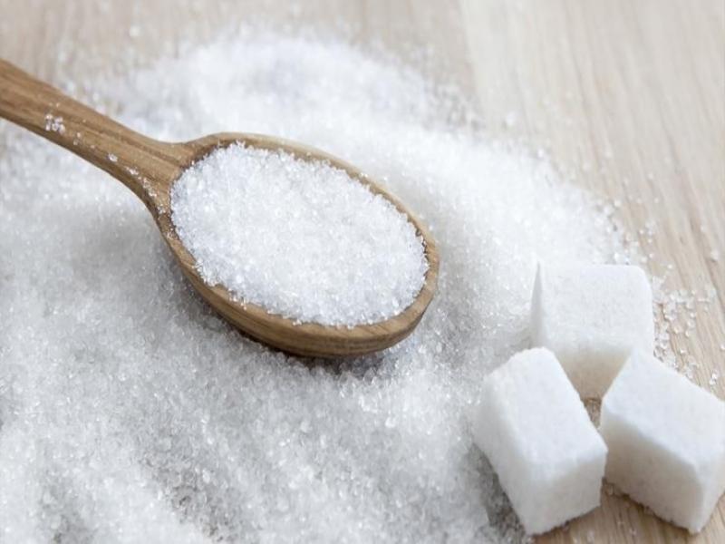 الفندي للمصير :تصدير السكر ليس سببا في الأزمة الحالية
