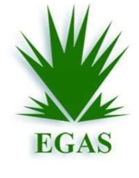 مصر تتعاقد لاستئجار الوحدة العائمة ”هوج جاليون” لتأمين احتياجات البلاد من الغاز  المسال