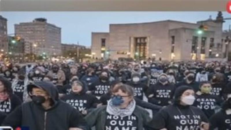 أستاذ قانون دولي: النظام الأمريكي يسحق مظاهرات طلاب الجامعات بشكل عنيف