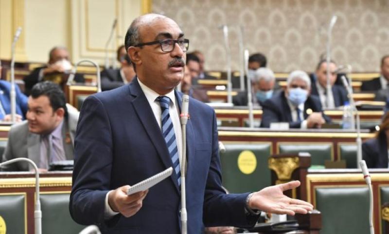 رئيس برلمانية المصري الديمقراطي لـ”الحكومة”:أفقرتم الشعب بسياساتكم الفاشلة