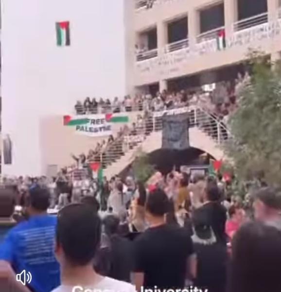 ”ملحمة فلسطين”.. فيديو من طلاب جامعة جنيف لدعم صمود أهل غزة